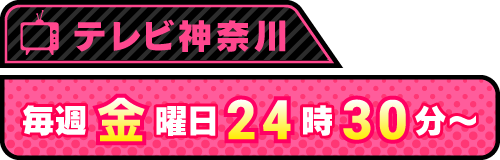 テレビ神奈川 毎週金曜日24時30分〜